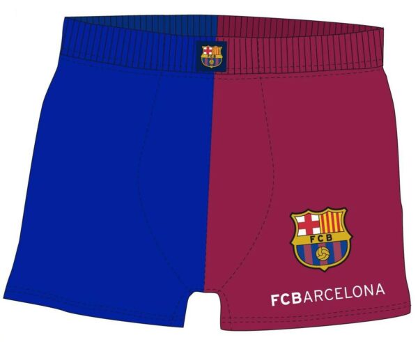 Boxer barça